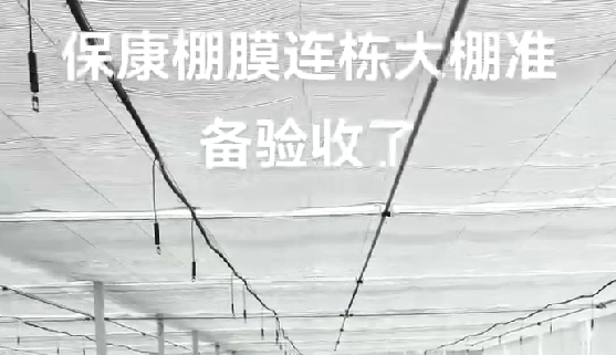 ?？蹬锬みB棟大棚準備驗收